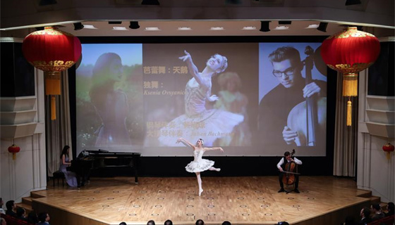 中国驻德国大使馆举办2018年春节招待会