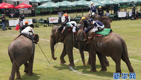 泰国举办年度国王杯象球锦标赛