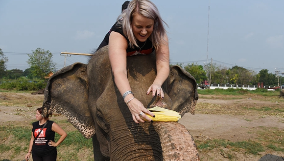 泰国举办“大象日”活动 主角畅享水果大餐