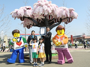 日本乐高樱花树打破世界纪录