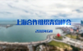 【老外街访评】&ldquo;上合&rdquo;友人的&ldquo;上合之声&rdquo;