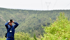 铁塔上的“蜘蛛侠”