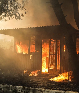 希腊雅典附近发生森林火灾