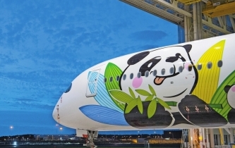 大熊貓萌上天 川航熊貓客機首飛北京