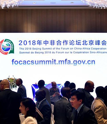 非洲将成为“一带一路”样板