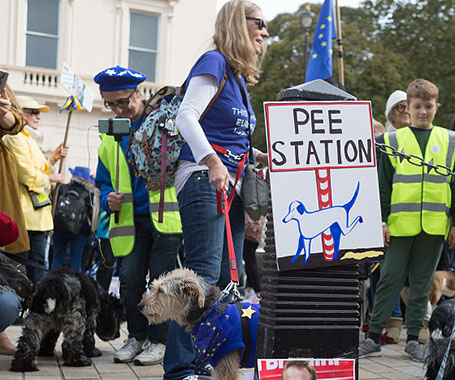 英国留欧派民众上街游行