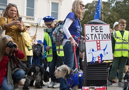 英国留欧派民众上街游行