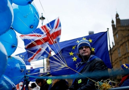 &ldquo;留欧派&rdquo;在议会大厦外示威