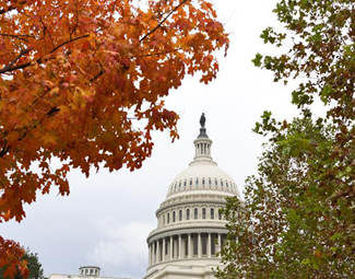 中期选举落幕 美国迎来“分裂”国会