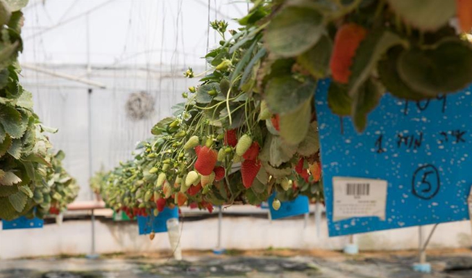 点滴之间的智慧&mdash;&mdash;走近以色列水技术