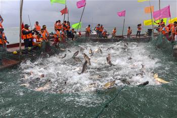 中国最大内陆淡水湖迎来开湖季