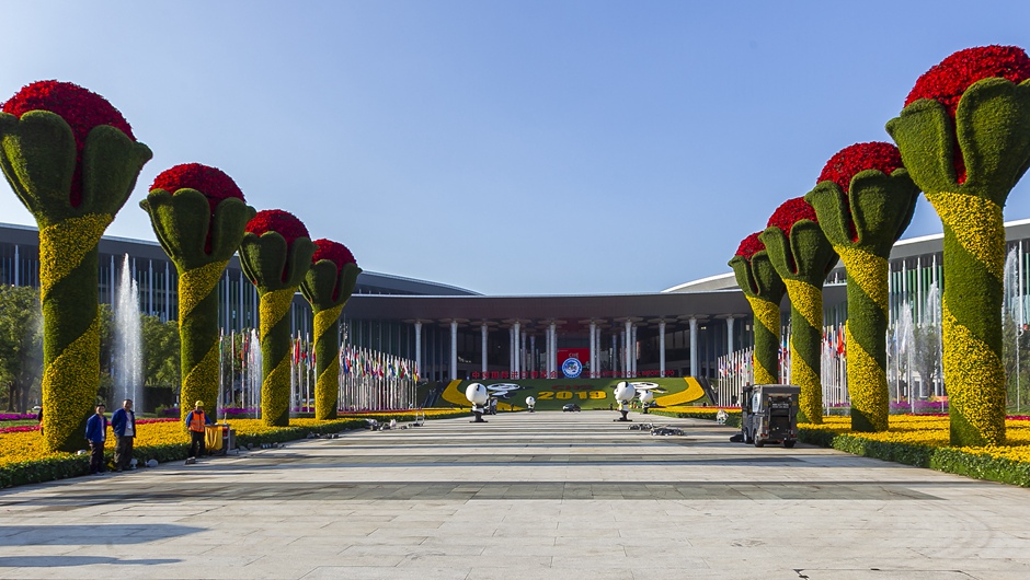 鲜花装点进博会