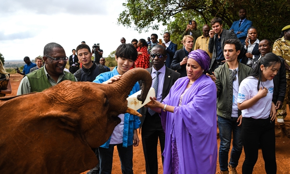 2019，中国继续坚定支持联合国事业和多边主义