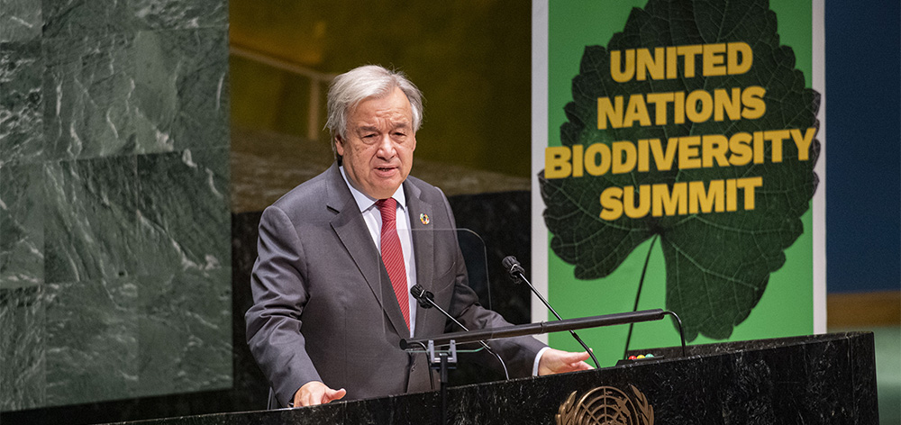 联合国秘书长呼吁加大生物多样性保护力度
