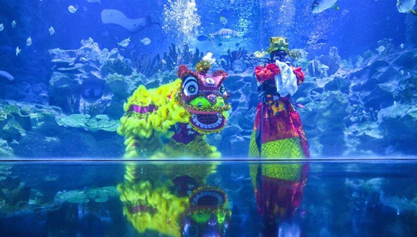 吉隆坡：水中舞狮
