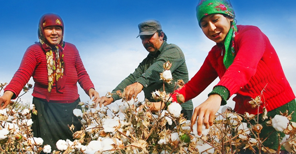 我为新疆棉花点赞！