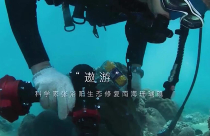 《全球连线&middot;周观天下》第4期