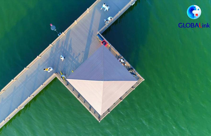 全球连线|中国为广大发展中国家树立了榜样&mdash;&mdash;南非执政党副总书记谈中共建党百年