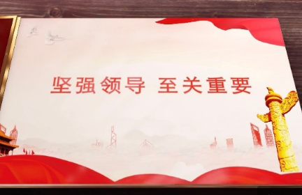 全球连线|（中共百年&middot;世界政党说）坚强领导 至关重要