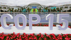 &ldquo;昆明宣言&rdquo;：凝聚共识 探索路径