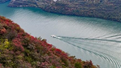 交出一份保护长江的优异答卷