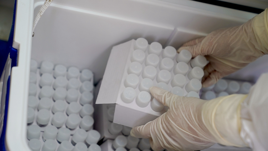 新华全媒+丨上海：加强核酸检测服务 确保进博会医疗保障