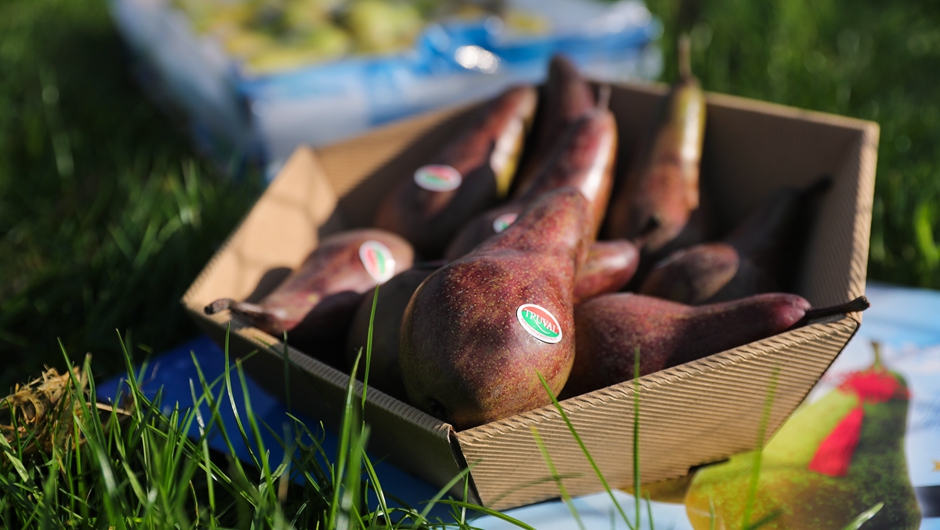 比利时啤梨&ldquo;热盼&rdquo;中国进博会