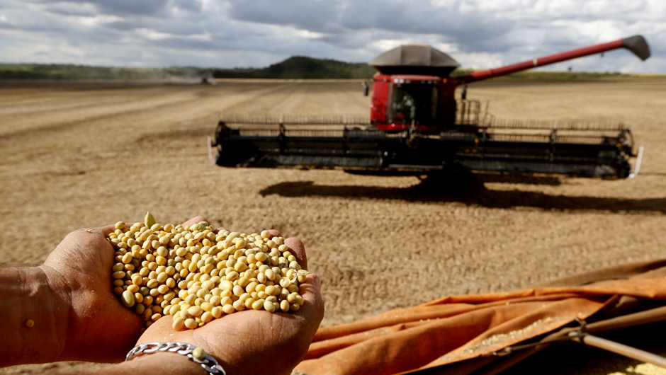 博采众长，进而有为&mdash;&mdash;写在第四届中国国际进口博览会开幕之际