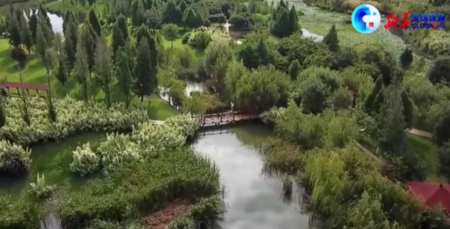 全球连线丨生物&ldquo;多&rdquo;看点：彩云之南 魅力滇池