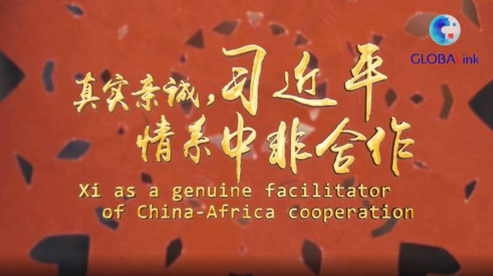 全球连线丨真实亲诚，习近平情系中非合作