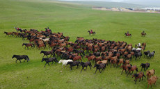 新华全媒+丨祁连山下千年马场&ldquo;邂逅&rdquo;高铁