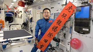 虎啸山河动 神州满目春&mdash;&mdash;从春节看文化自信
