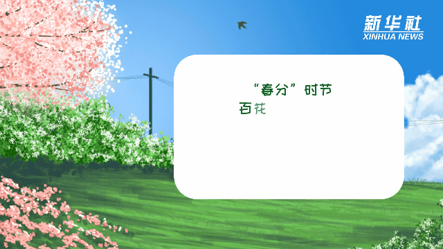 科画｜20日&ldquo;春分&rdquo;，你要的&ldquo;五彩春色&rdquo;来了！