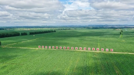 来自东北&ldquo;黄金玉米带&rdquo;的田野新观察