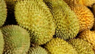 从香水椰看中国&mdash;东盟水果贸易前景