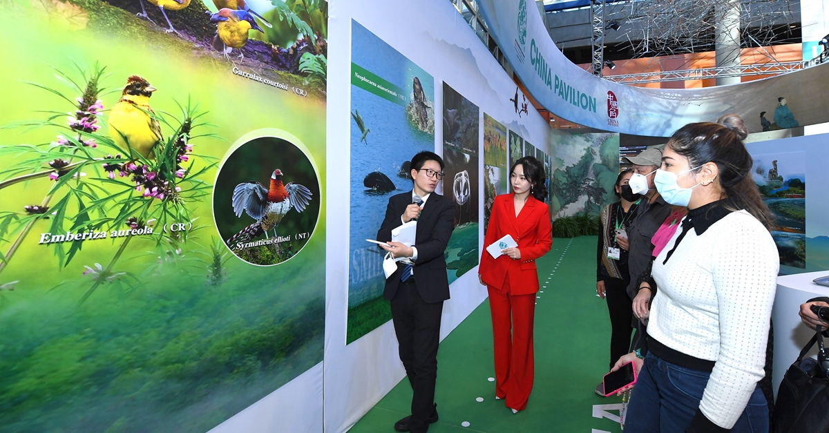 COP15中国角举行宣传日活动