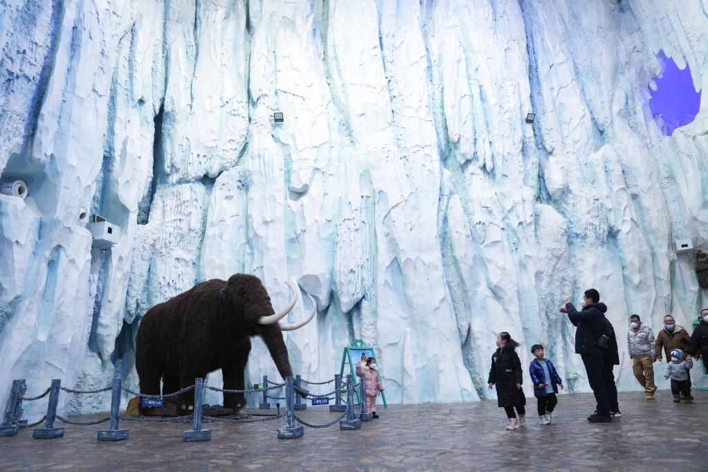 哈尔滨极地公园&ldquo;重启&rdquo;迎客