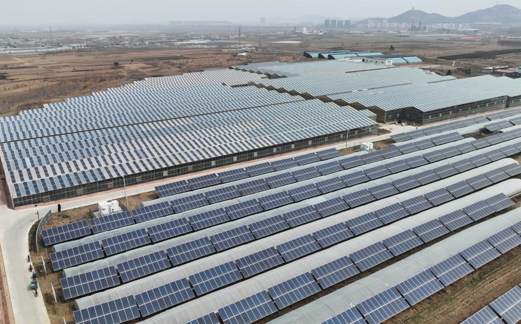 河北抚宁：&ldquo;农光互补&rdquo;低碳富农