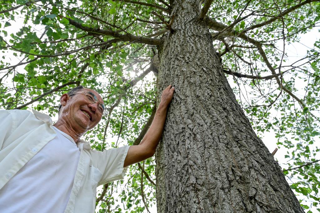 高质量发展调研行丨从荒漠到林海：73岁蒙古族老人百顺的治沙故事