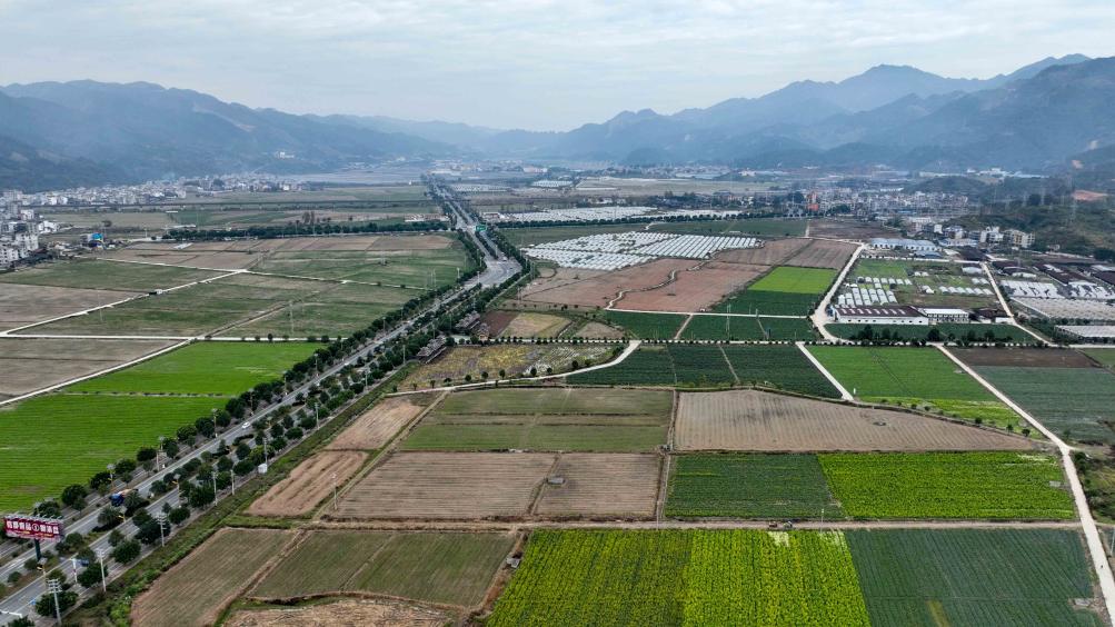 贵州榕江：打造大湾区&ldquo;菜篮子&rdquo;带动村民增收