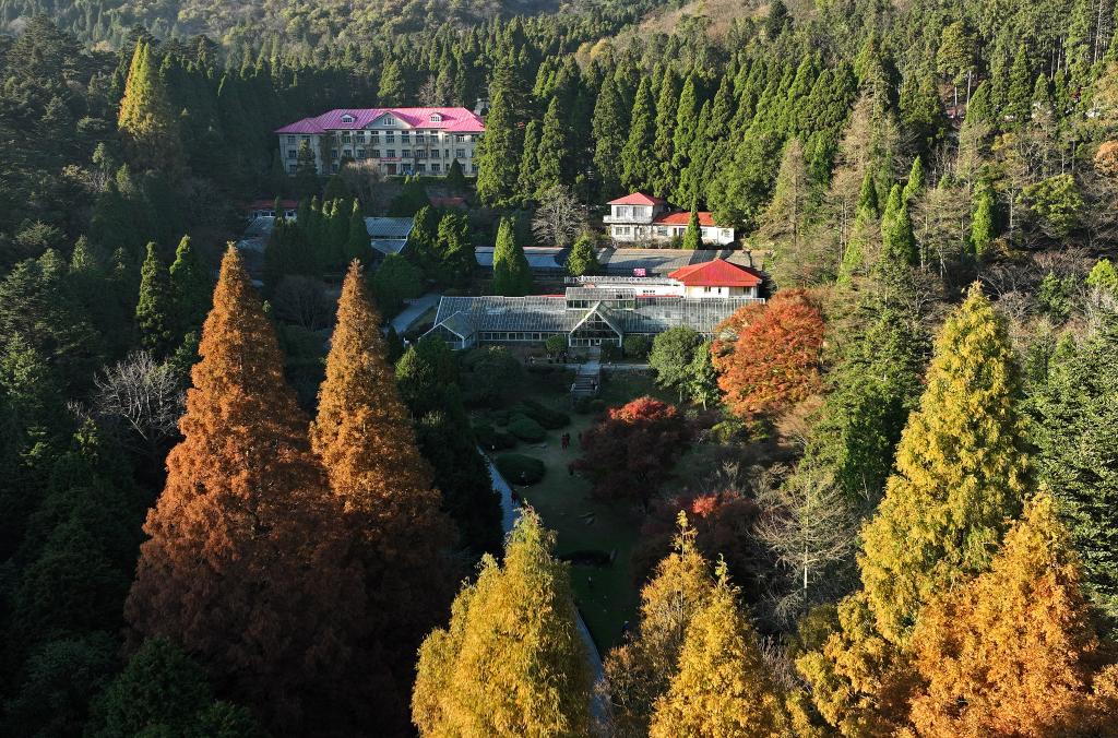 庐山&ldquo;枫&rdquo;景引游人