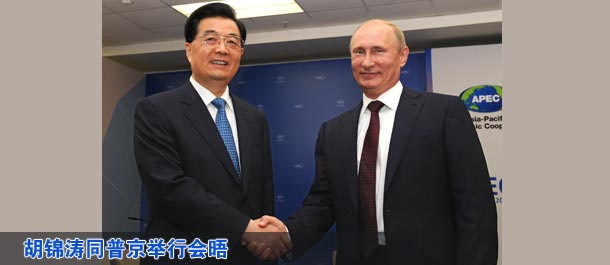 胡锦涛同普京举行会晤