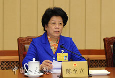 陈至立会见马尔代夫总统瓦希德