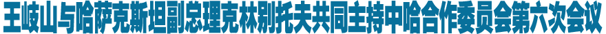 王岐山与哈萨克斯坦副总理克林别托夫共同主持中哈合作委员会第六次会议