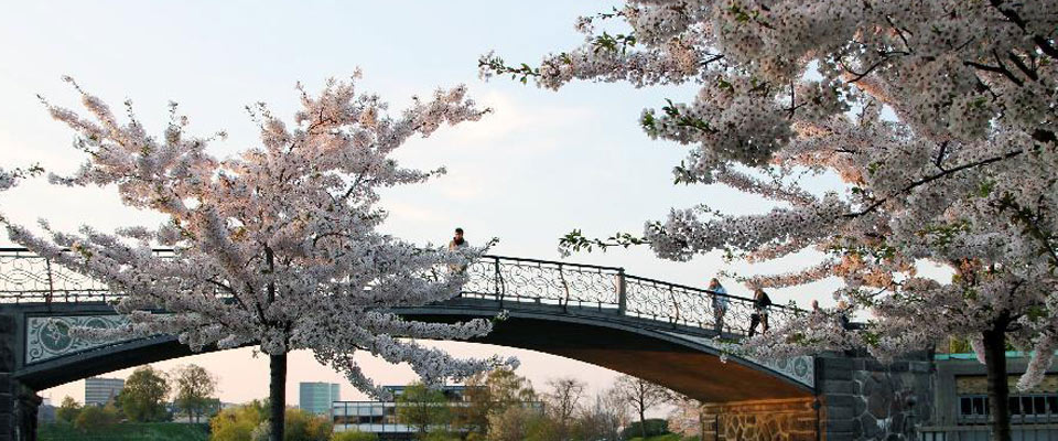 丹麦哥本哈根春意正浓