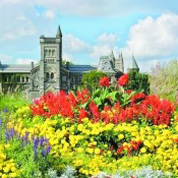 冷门专业也有热出路