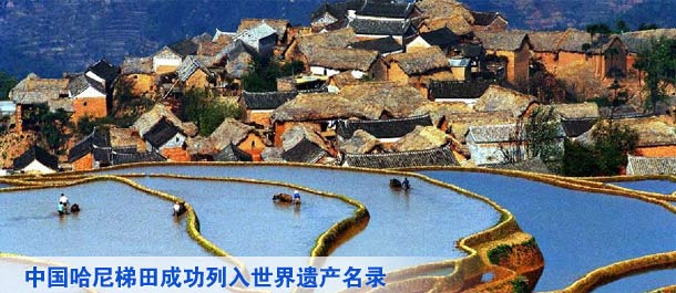 中國哈尼梯田成功列入世界遺産名錄