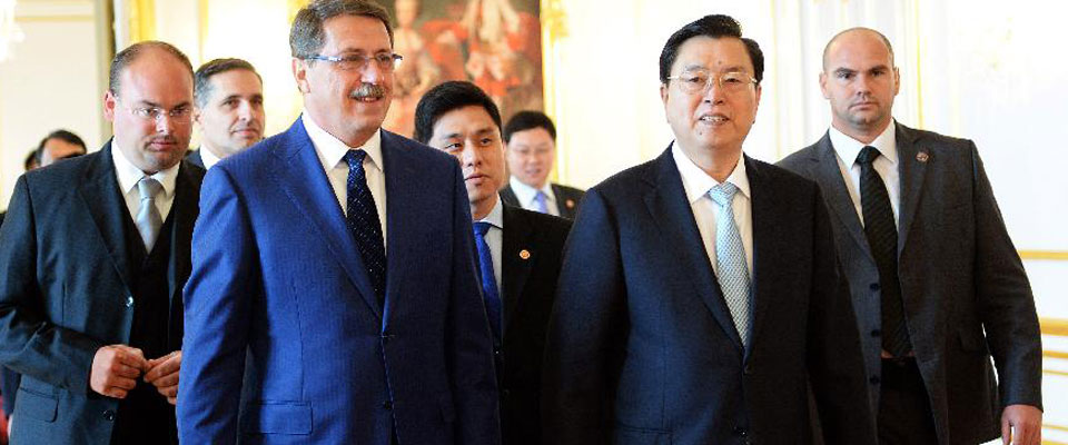 张德江与斯洛伐克议长帕什卡举行会谈