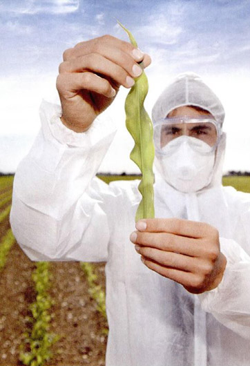 转基因&ldquo;转&rdquo;的是什么？