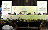2011年南非德班气候大会